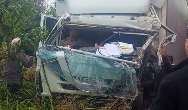 Kamyonlar kafa kafaya çarpıştı