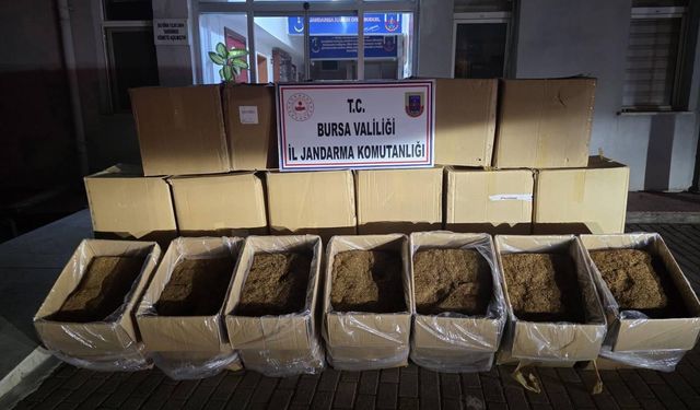 Bursa’da 750 kilogram kaçak tütün ele geçirildi