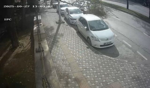 Bursa'da fırtına ağacı böyle devirdi