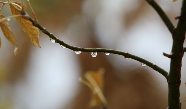 Bursa'da 2 günlük yağışlar ekim ayını kurtardı