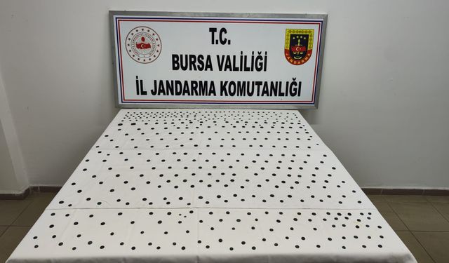 Jandarma'dan İznik'te tarihi operasyon