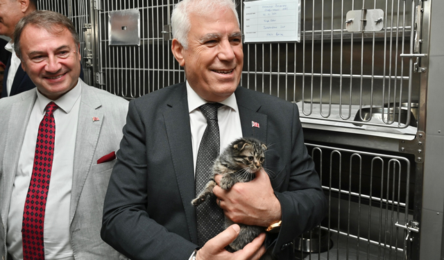 Büyükşehir'den can dostlara şefkat eli