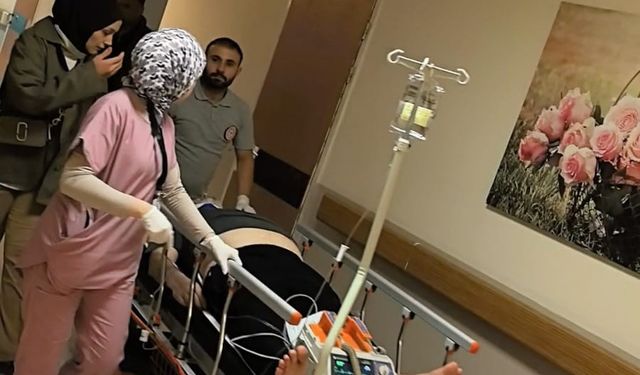 Ağaca çıkmak isterken düşen adam ağır yaralandı