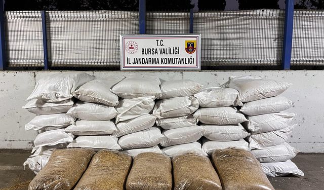 Bursa'da kaçak sigara operasyonu