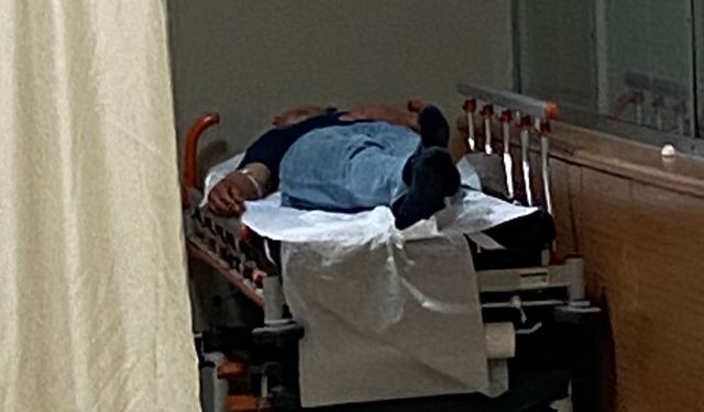 Ormandaki mantarları yiyen 7 kişi hastanelik oldu