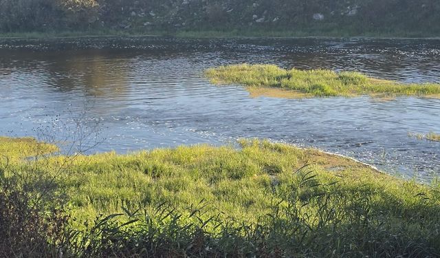 Bursa'da 10 yaşındaki cocuğun acı sonu