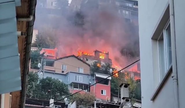 Bursa'da 78 yaşındaki adam yanarak can verdi!