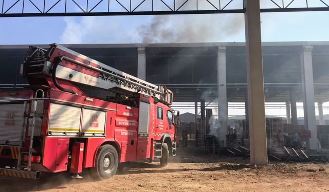 Bursa’da palet fabrikası alevlere teslim oldu