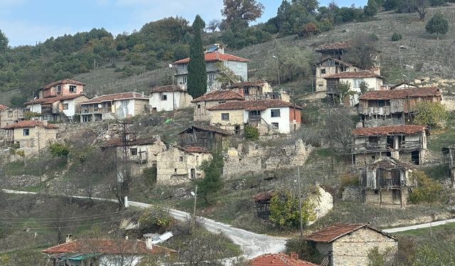 Bursa'da 450 yıllık köyde sadece 4 kişi yaşıyor