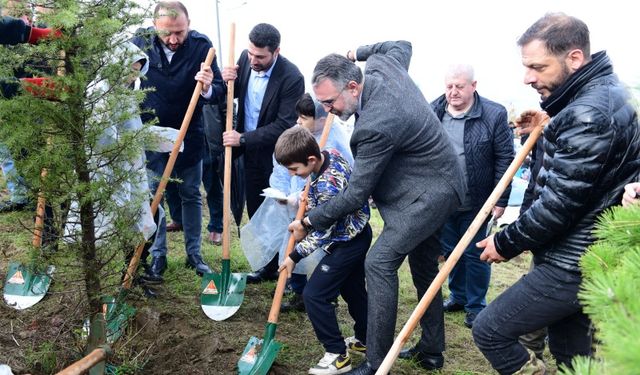 Kestel’de yeşil umutlar filizlendi