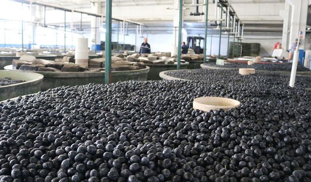 Marmarabirlik ürün alım fiyatlarını açıkladı