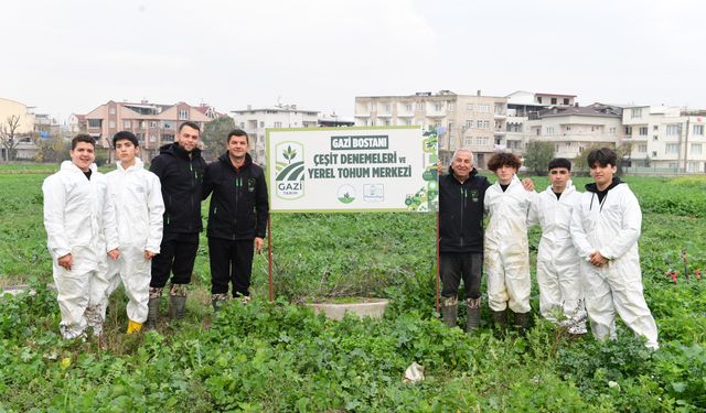 Osmangazi’de pırasa hasadıyla doğallık sofralara taşınıyor