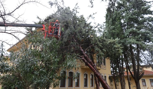 Büyükşehir ekipleri, şiddetli rüzgara karşı sahada
