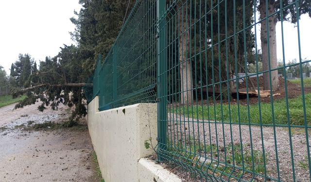 Mudanya'da lodos ve yangın paniği