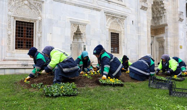 Bursa kışın da çiçek bahçesine dönüşüyor