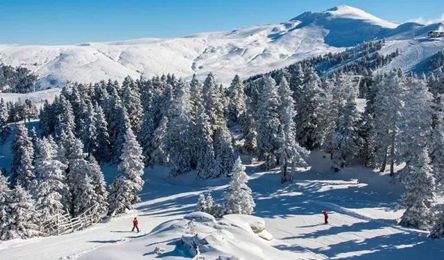 Uludağ Alan Başkanı görevden alındı, yeni atama yapıldı