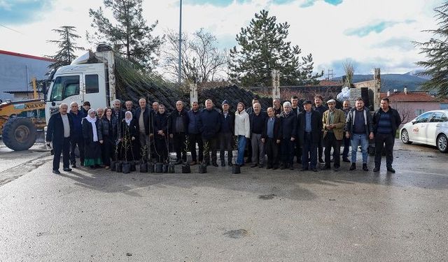 Bursa’da çiftçiye hibe desteği: Büyükşehir’den fide ve fidan yardımı