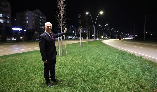 Çalı yolu büyükşehirle aydınlandı