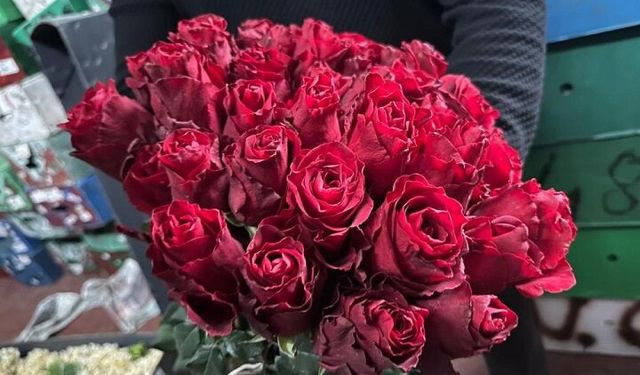 Kırmızı Gülü Yağış Vurdu, Kenya ve Uganda Öne Çıktı