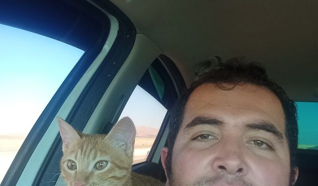 Kaybolan kedisi için binlerce kilometre yol yaptı