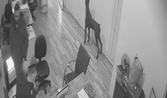 Bursa’da şaka az kalsın felaketle bitecekti: Kolonyalı el alev aldı