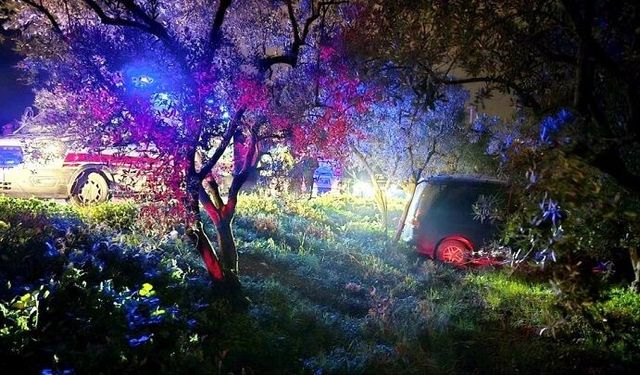 Bursa’da feci kaza: Direksiyon hakimiyetini kaybeden sürücü zeytin tarlasına girdi