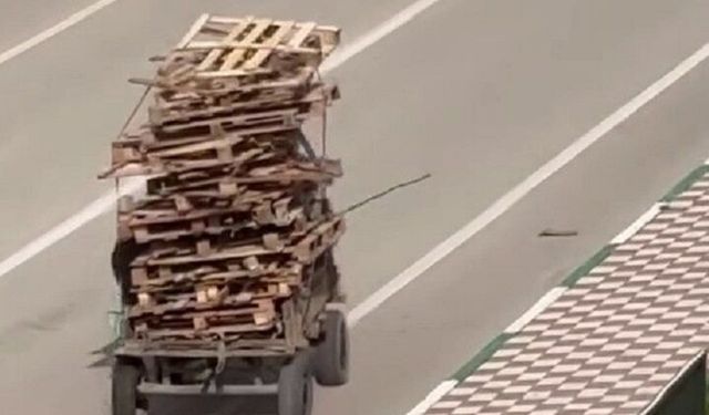 Bursa’da Dikkat çeken görüntü: Karacabey’de at arabasına kat kat palet yükledi