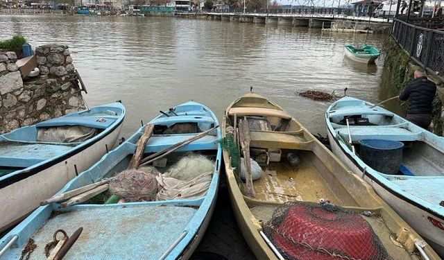 Gölyazı balıkçıları İsrail sazanı sayesinde geçimlerini sağlıyor