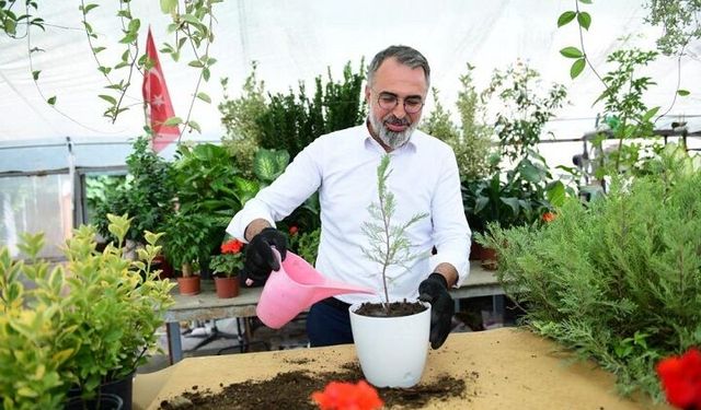 Kestel Belediyesi’nden süs bitkileri üreticilerine destek