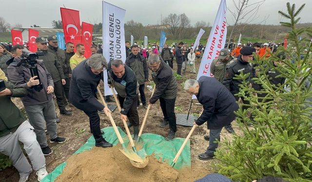 Bursa’da Yanan 80 Hektarlık Alan Yeniden Yeşerdi