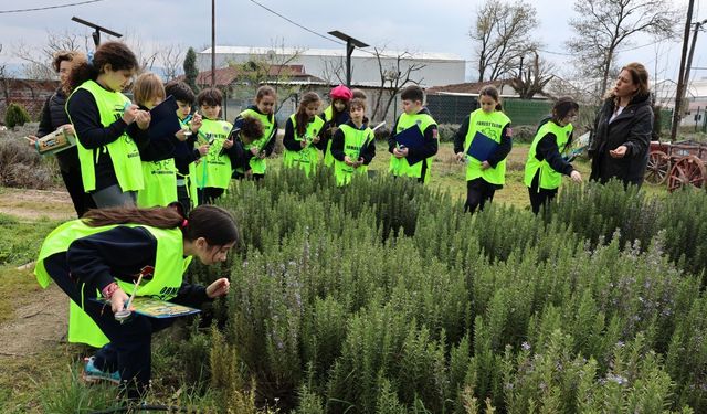 Ürünlü'de doğa sevgisi yeşeriyor