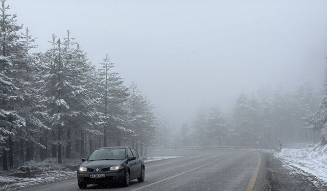 Bursa'da kar sürprizi