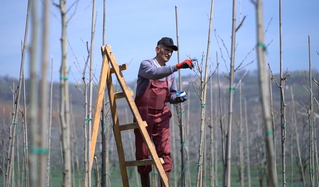 Kestel’de Bahar Dokunuşu