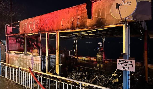 Kurşunlu Sahili'ni alevler kapladı