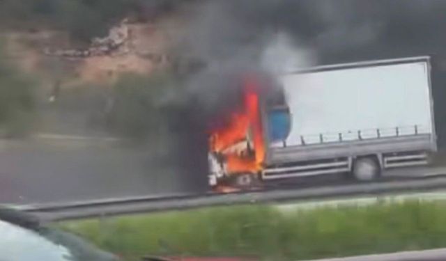 Seyir halindeki kamyon, alev alev yandı