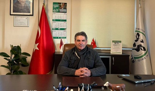 CHP'li meclis üyesine kadına şiddetten ev hapsi