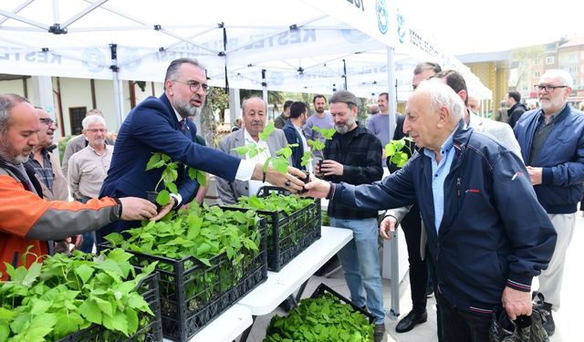 Tarım şehri Bursa Kestel’de Ahududu seferberliği