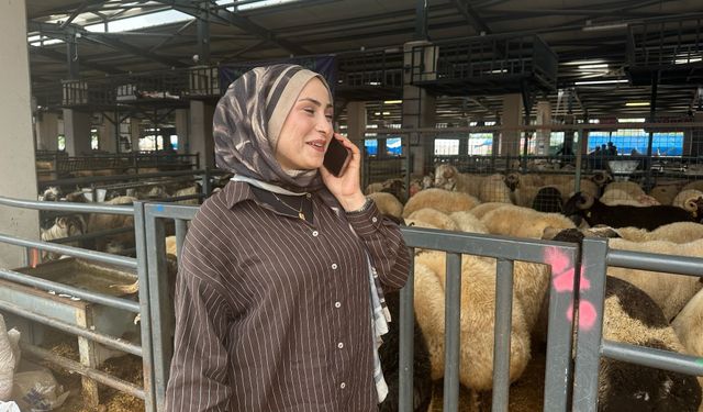 İki genç kuzen celep, Bursa'daki kurban pazarında rekabeti artırdı