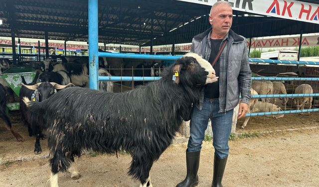 Bursa'daki kurban pazarının şampiyon keçisi 47 bin liradan satıldı