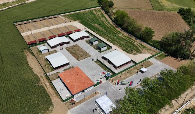 Güney Marmara’nın en modern hayvan bakımevi Yenişehir’de açıldı!