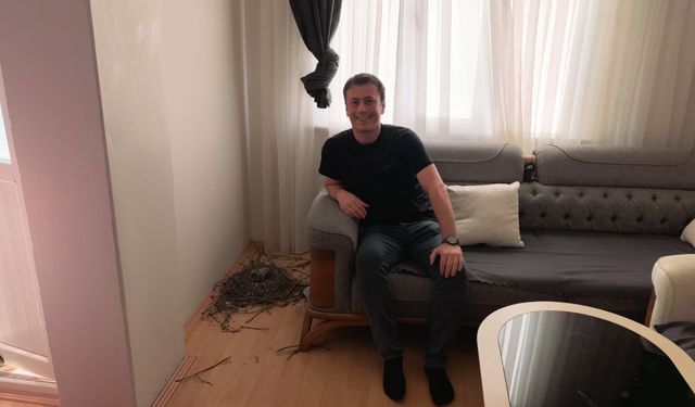 1,5 aydır oturma odasını güvercinlerle paylaşıyor