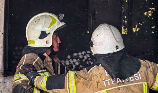 Bursa'da yumurta deposu alevlere teslim oldu