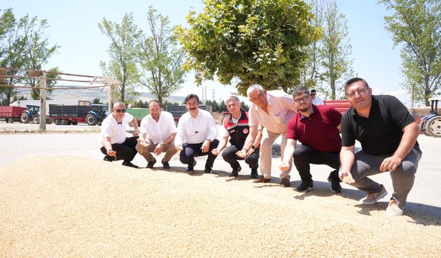 Yenişehir'de buğday alımları başladı