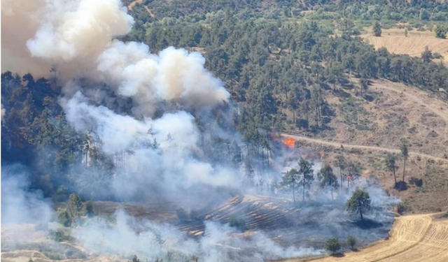 Bursa'da rüzgar yangını büyüttü