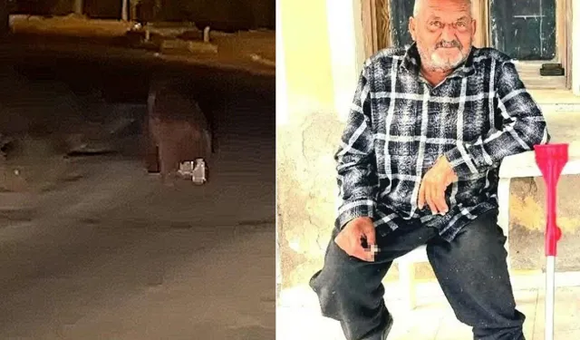 Balkonda ayı saldırdı canından oldu