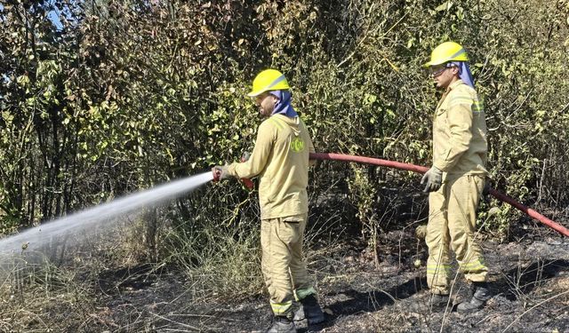 Bursa'da çıkan yangına hızlı müdahale