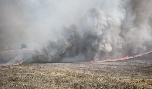 Bursa'da orman yangını...Tarım alanında başladı ormana sıçradı