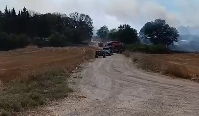 Arazide çıkan yangın, ekiplerin hızlı müdahalesiyle söndürüldü