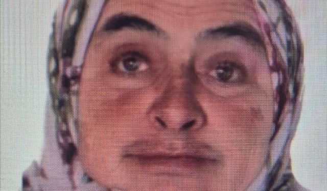 Bursa'da ormanda tüm ekipler onu arıyor...