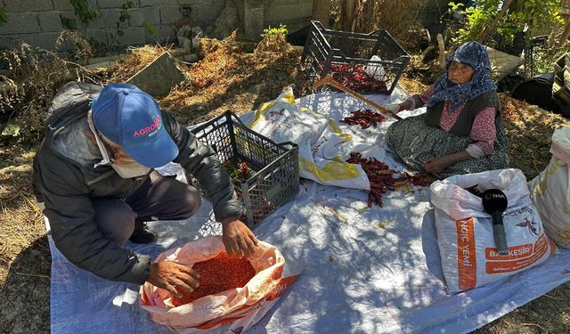 90 yaşındaki annenin evlat sevgisi acı biberi tatlı kıldı